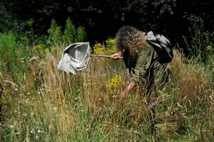 lezing-spinnen