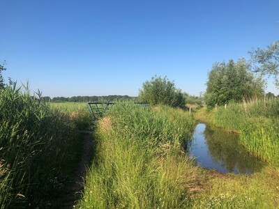 wandeling-st-annananas-rust 2